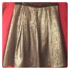 Silver and Black Skirt